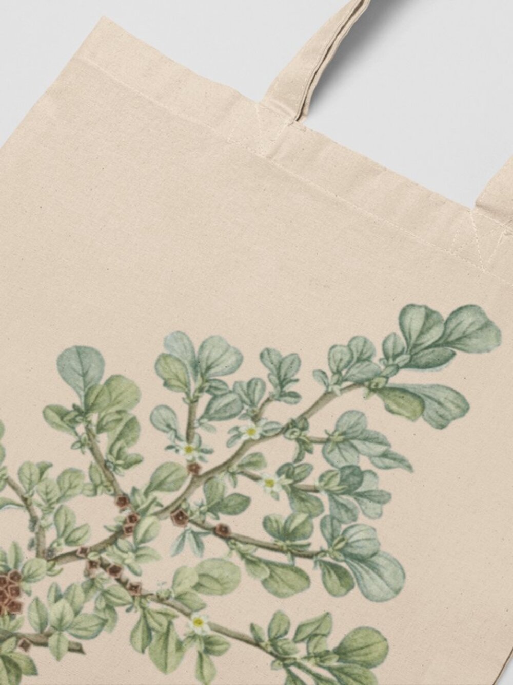 Canary Island Ice Plant Vintage Floral Print Graphic Canvas Tote Bag - Picture 3 of 5